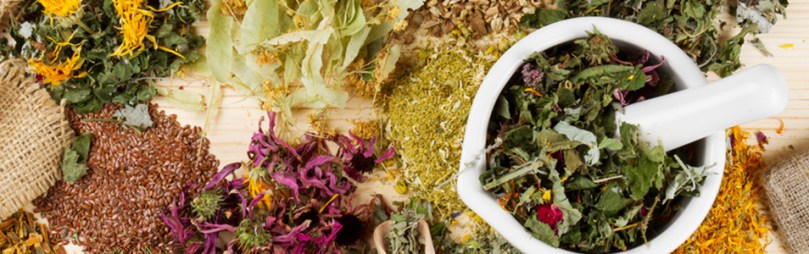 healing herbs on wooden table, herbal medicine